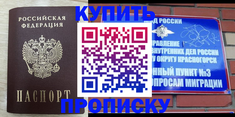 прописка гарантия в Камышине